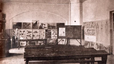 Естествен-истор кабинет.tif